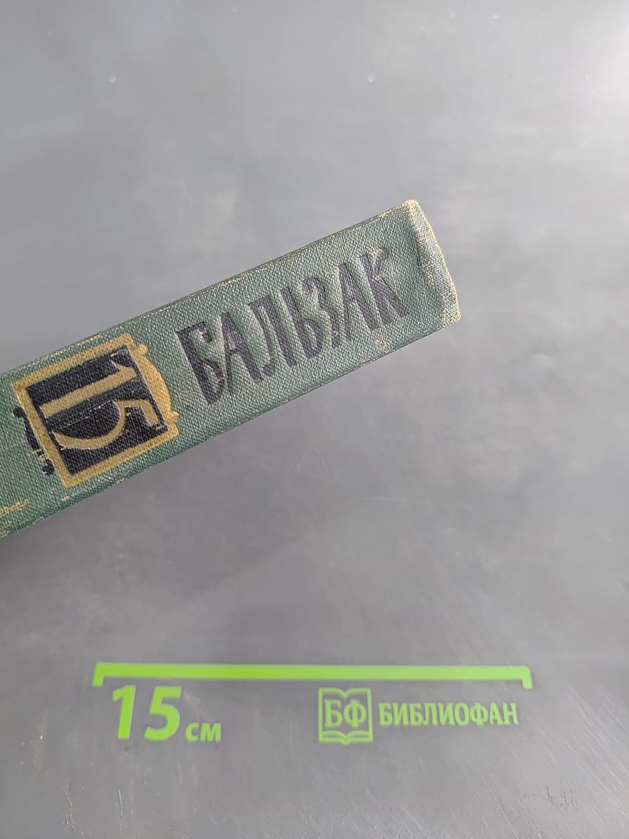 Собрание сочинений в 24 томах. Том 15. Человеческая комедия. Сцены парижской жизни