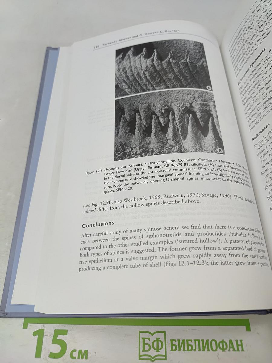 Brachiopods: Past and Present
