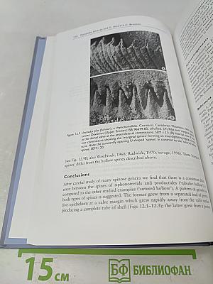Brachiopods: Past and Present