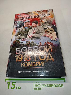 Боевой 1918 год. Комбриг