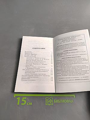 Чесменский дворец и Государственный университет аэрокосмического приборостроения