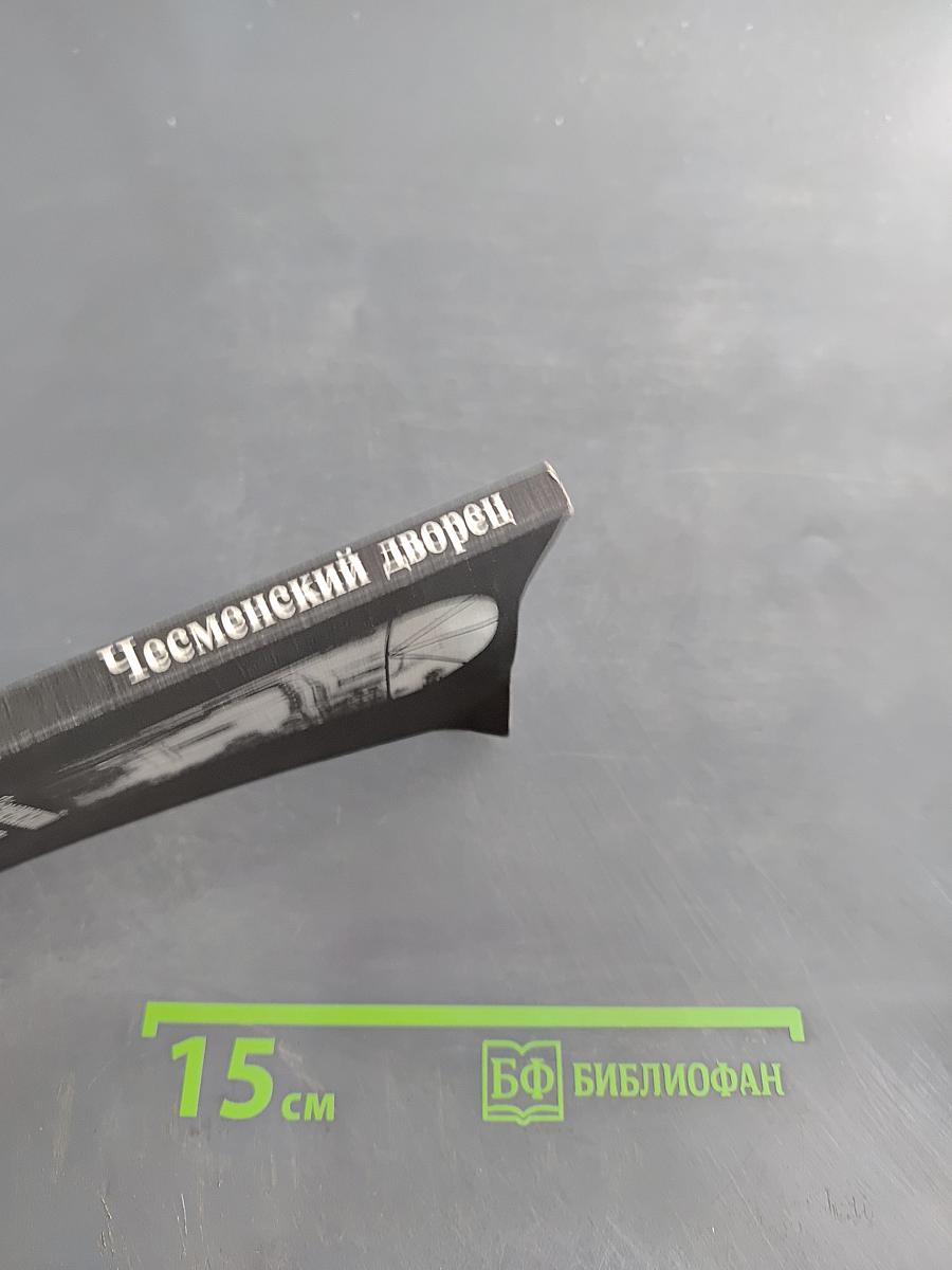 Чесменский дворец и Государственный университет аэрокосмического приборостроения