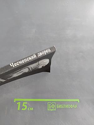 Чесменский дворец и Государственный университет аэрокосмического приборостроения
