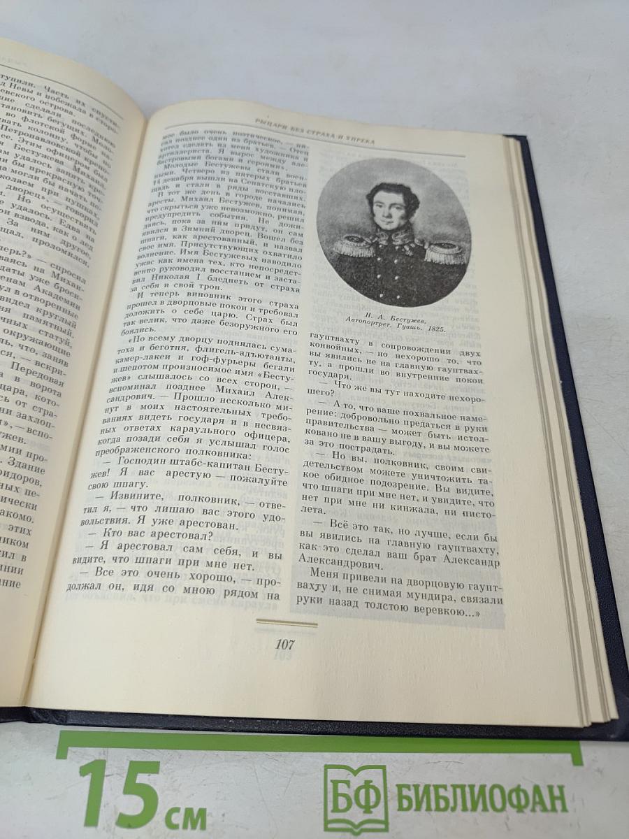 Картинные книги. Очерки