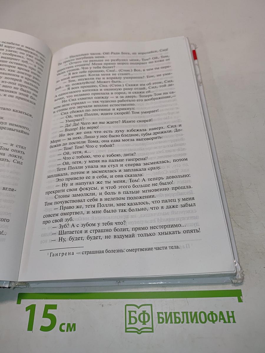 Приключения Тома Сойера