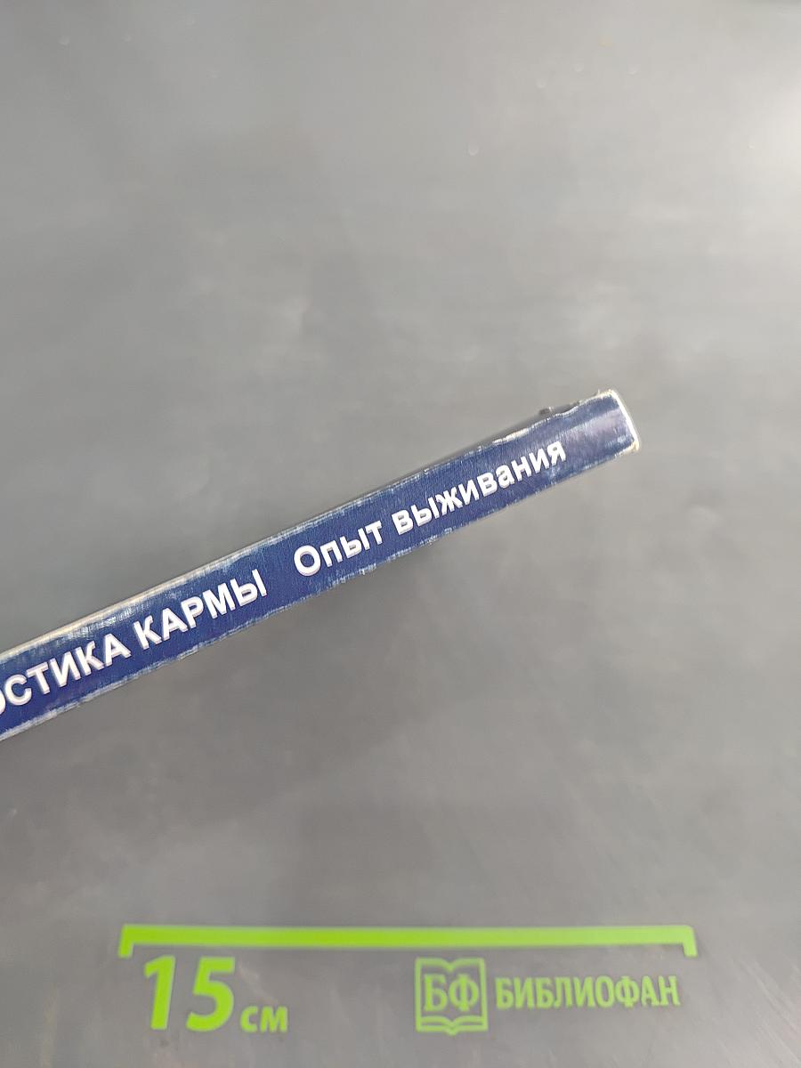 Диагностика кармы. Опыт выживания. Часть 2