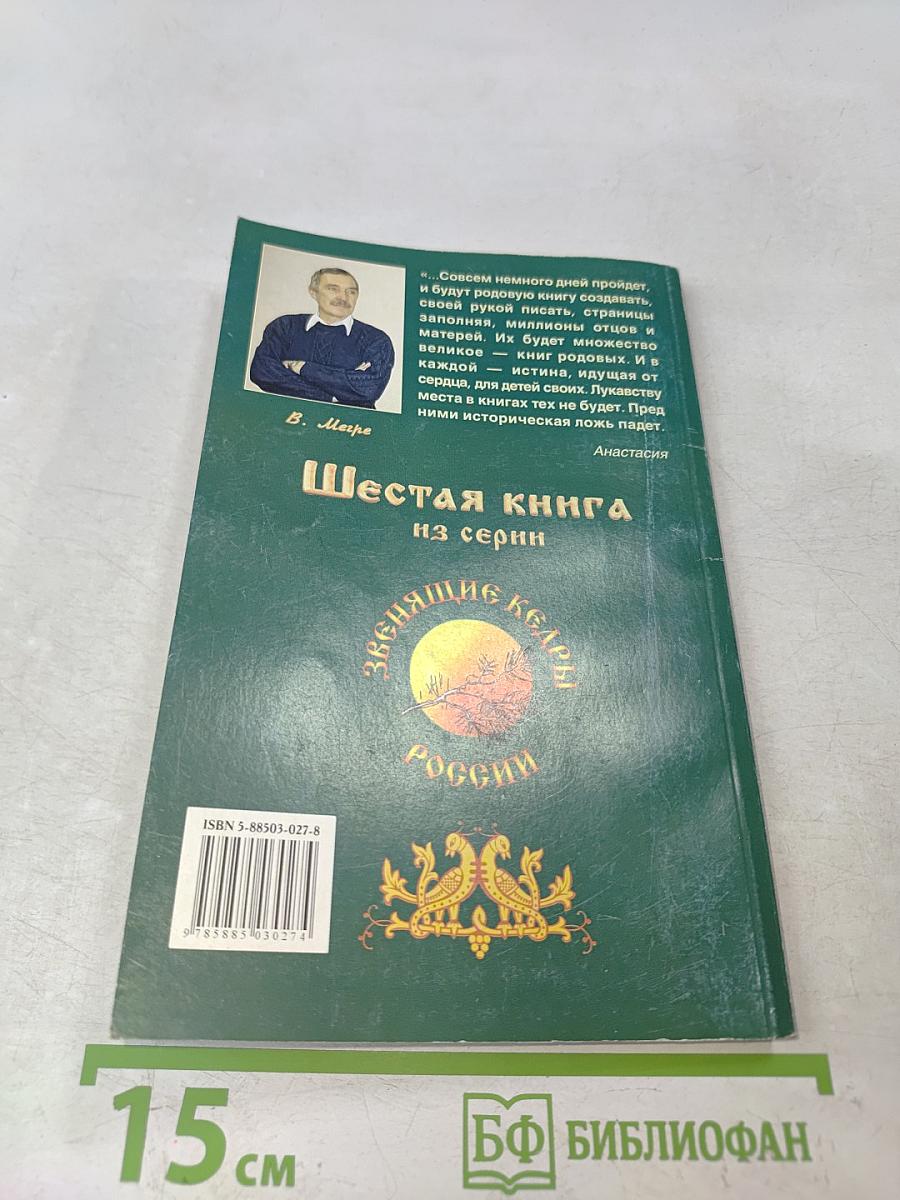 Родовая книга. Книга шестая