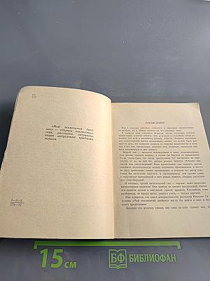 Мой знаменитый двойник