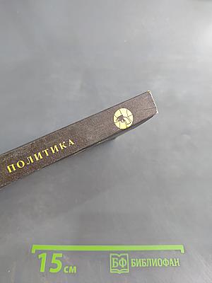 Детектив и политика