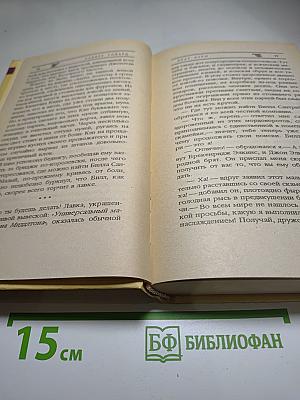 Брат Бури. Сага Медвежьей реки