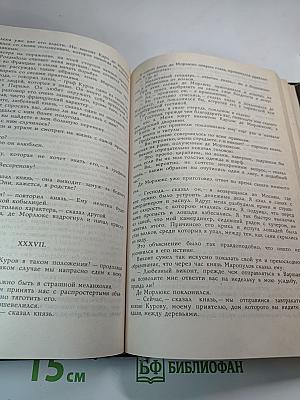 Похождения Рокамболя. Воскресший Рокамболь. Том 4