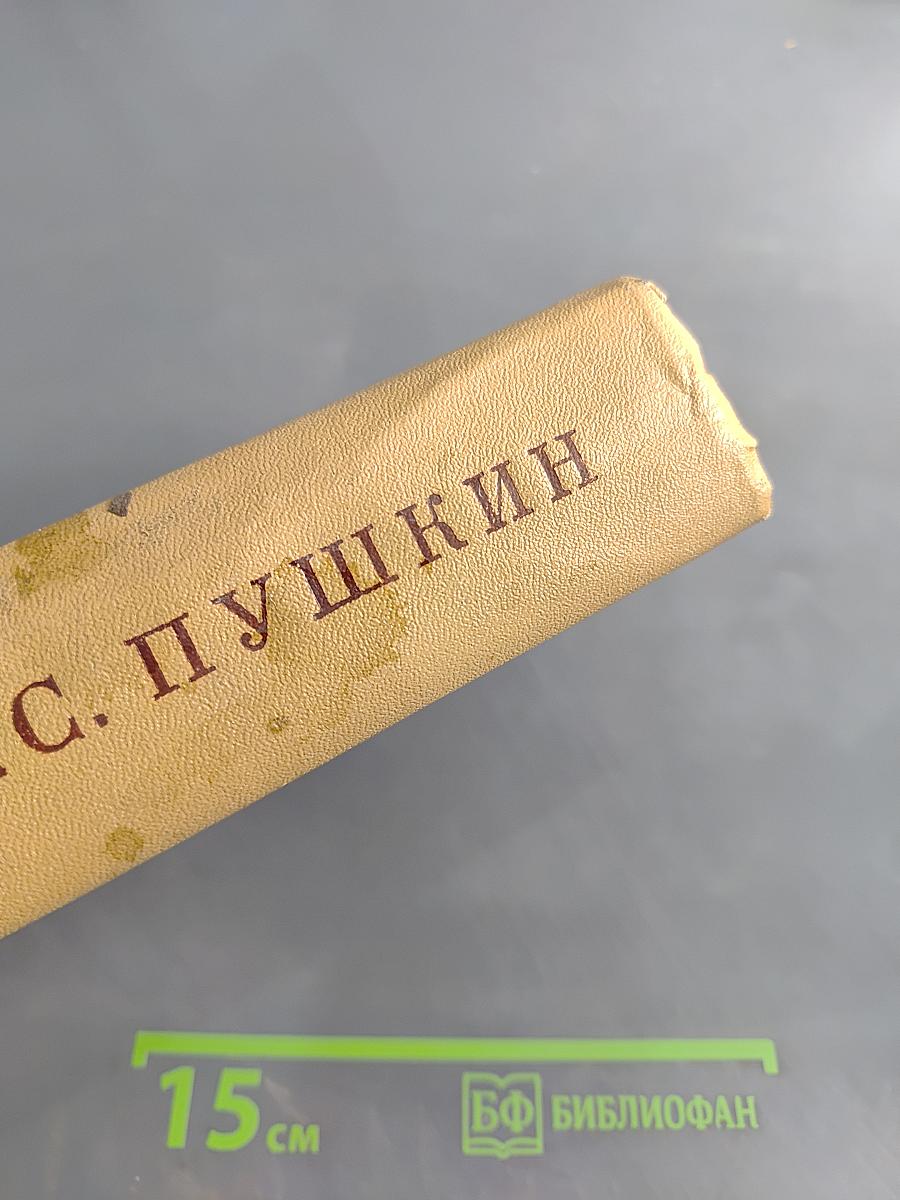 Полное собрание сочинений в десяти томах. Том десятый. Письма