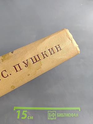 Полное собрание сочинений в десяти томах. Том десятый. Письма