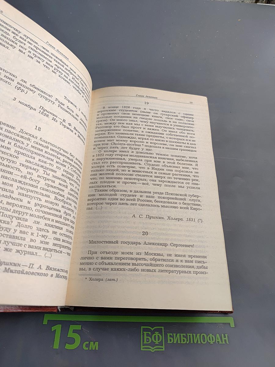 Жизнь Пушкина. Рассказанная им самим и его современниками. Том второй