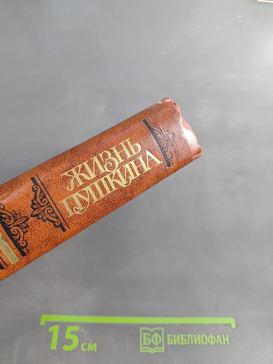 Жизнь Пушкина. Рассказанная им самим и его современниками. Том второй