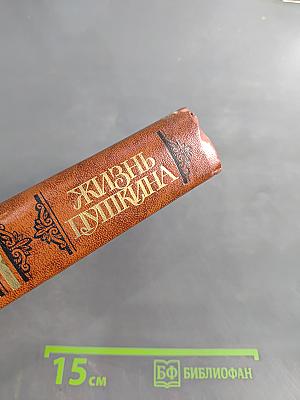 Жизнь Пушкина. Рассказанная им самим и его современниками. Том второй