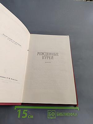 Рожденные бурей