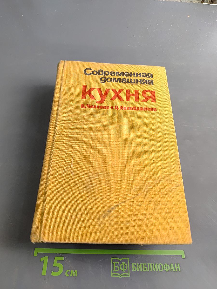 Современная домашняя кухня