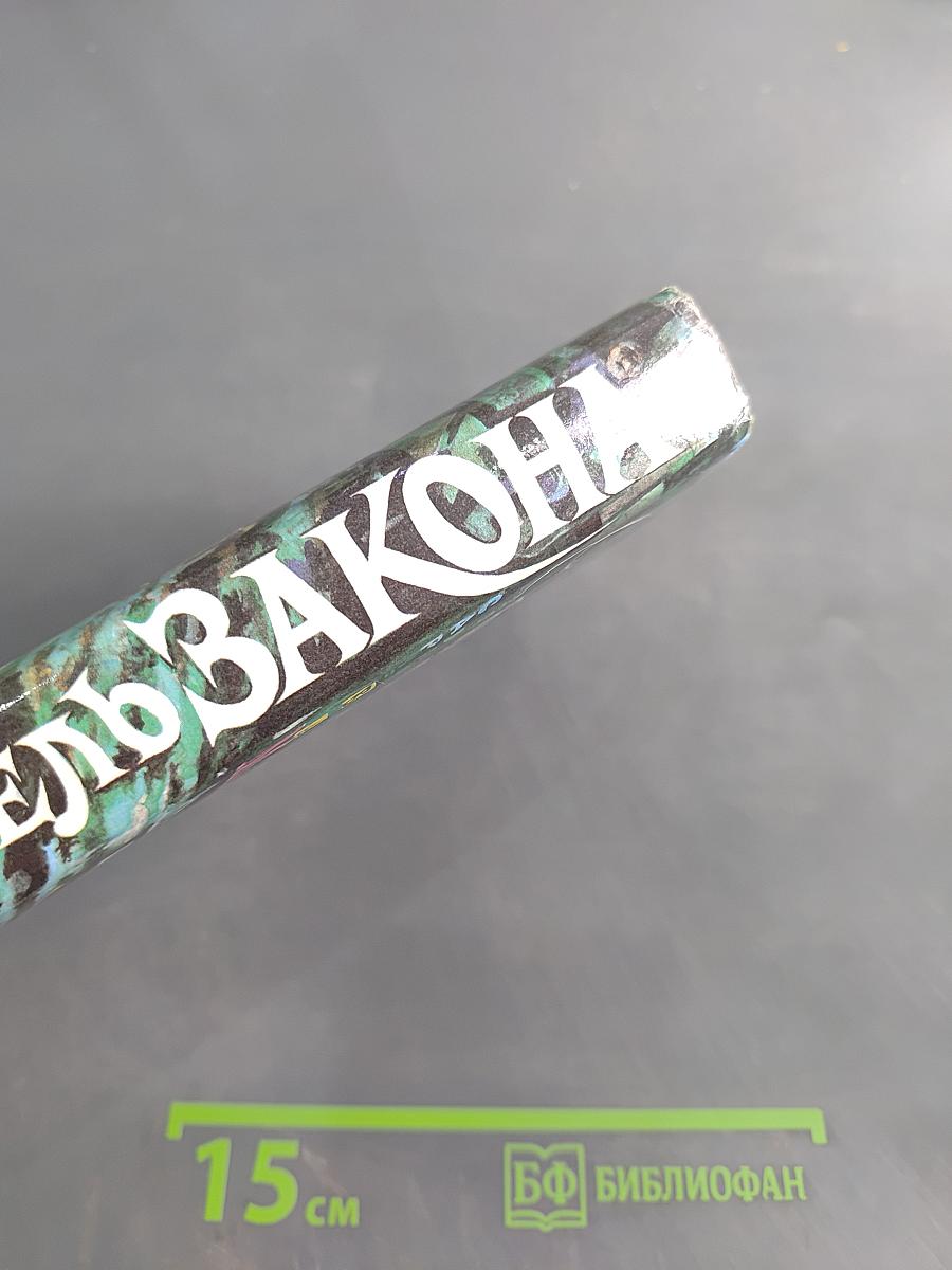 Блюститель закона