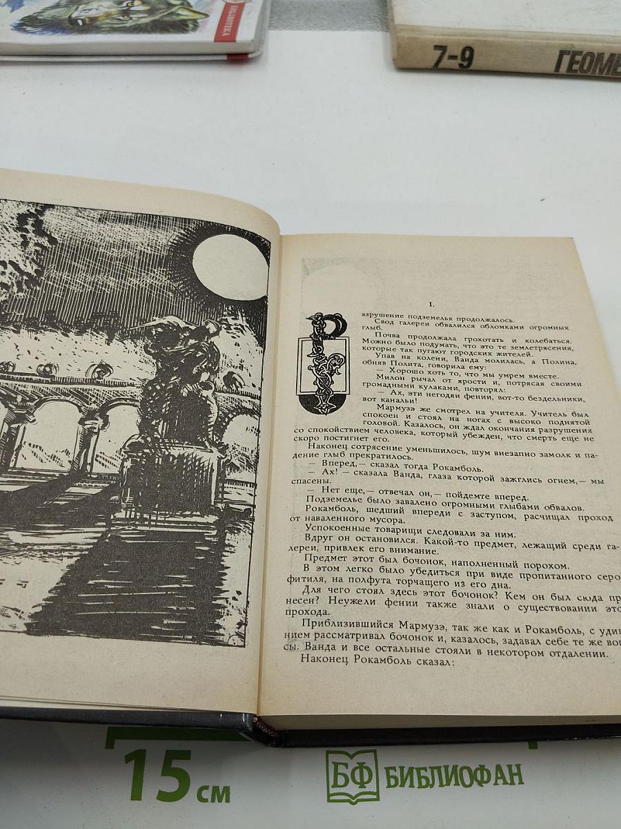 Собрание сочинений. Том 8. Похождения Рокамболя. Веревка повешенного. Сумасшедший из Бедлама. Серый человек. Капитан Мак