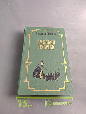 Емельян Пугачев. Историческое повествование. Книга 1