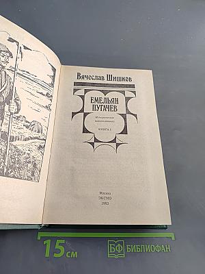 Емельян Пугачев. Историческое повествование. Книга 1