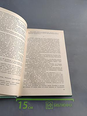 Емельян Пугачев. Историческое повествование. Книга 1