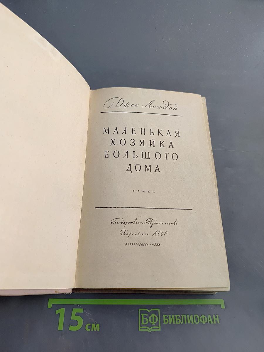 Маленькая хозяйка большого дома