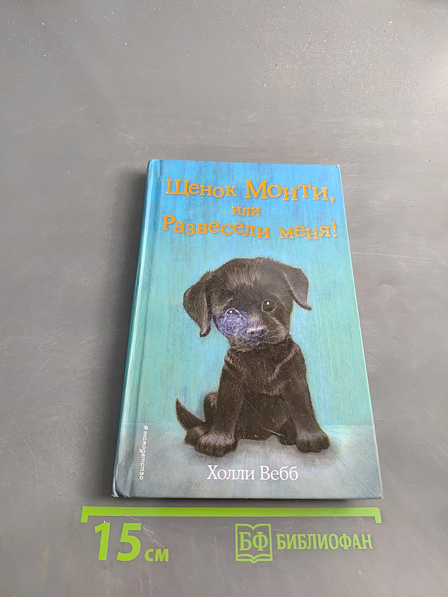 Щенок Монти, или Развесели меня!