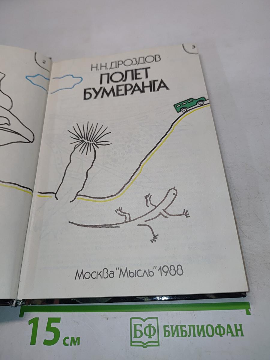 Полет бумеранга