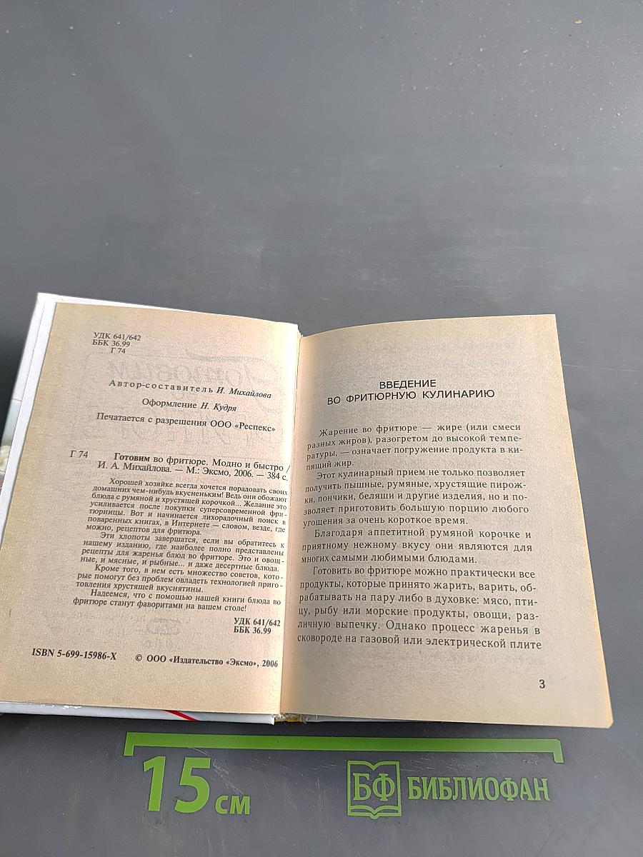 Готовим во фритюре. Модно и быстро