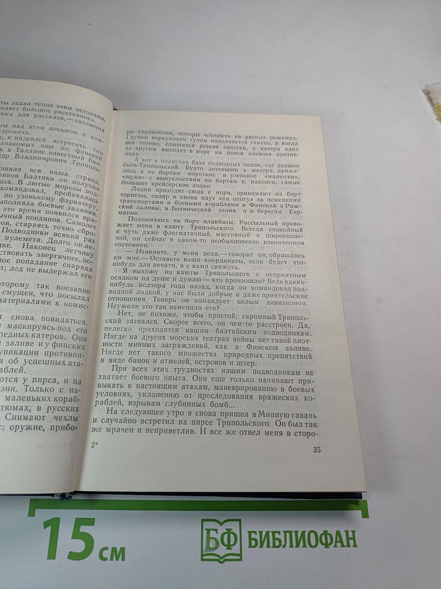 Штормовая пора