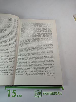 Штормовая пора