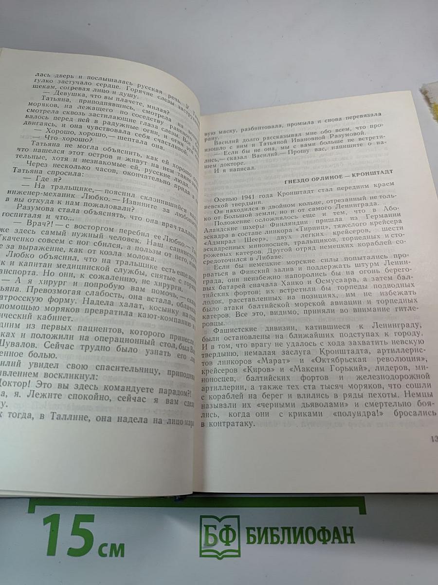 Штормовая пора