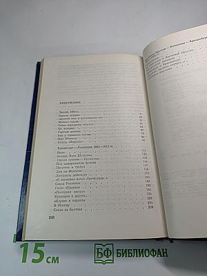 Штормовая пора