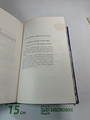 Штормовая пора