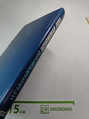 Штормовая пора