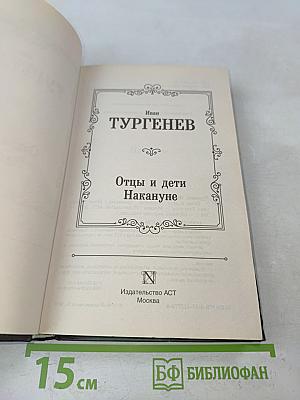Отцы и дети. Накануне