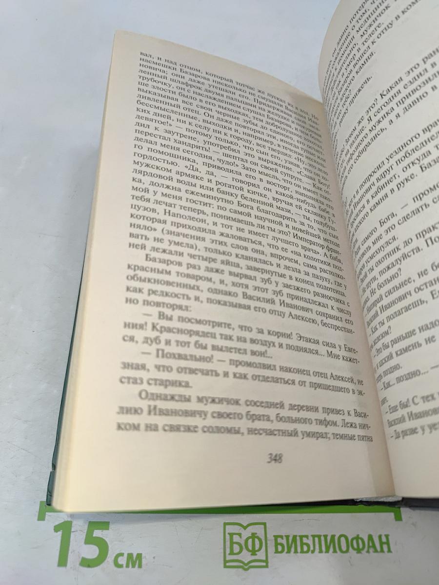 Отцы и дети. Накануне
