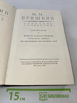 Собрание сочинений. Том шестой. Повесть нашего времени, Осударева дорога, Из дневников последних лет