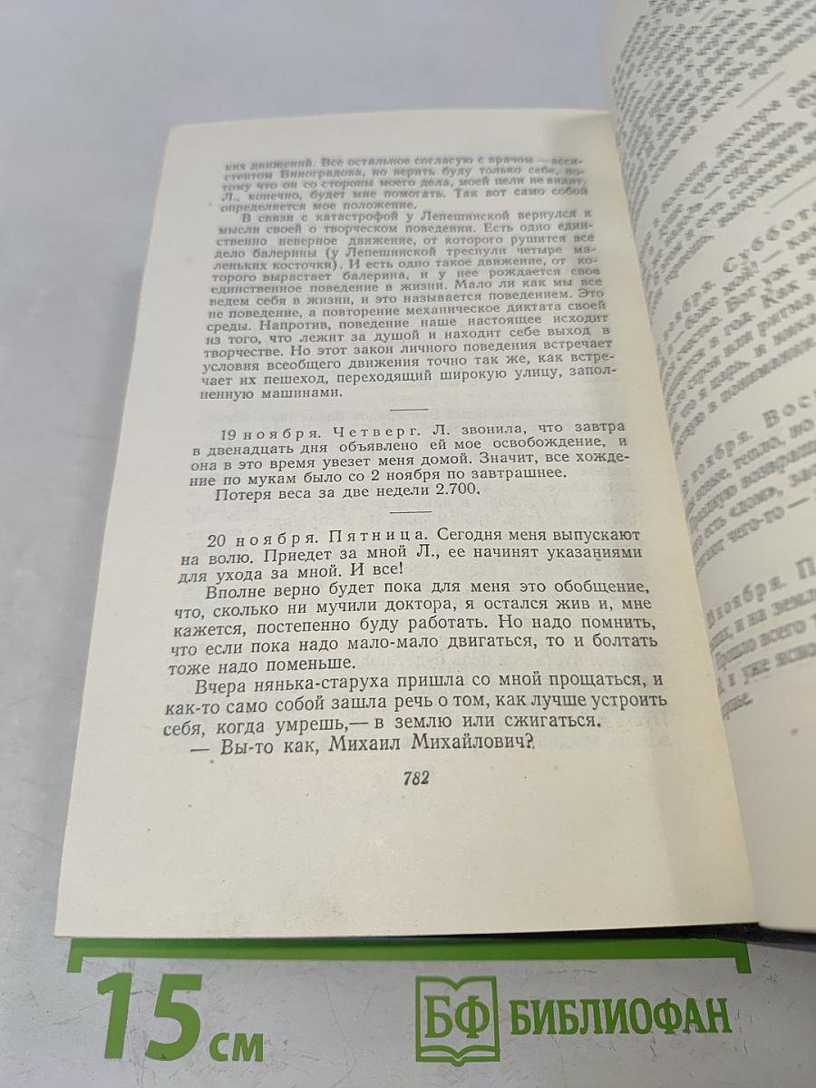 Собрание сочинений. Том шестой. Повесть нашего времени, Осударева дорога, Из дневников последних лет