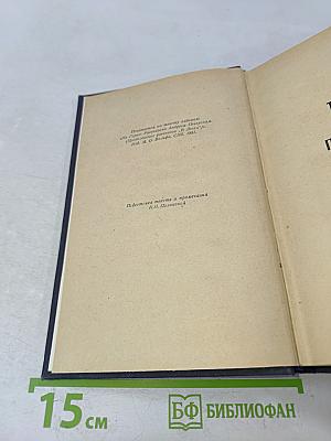 На горах. Книга вторая