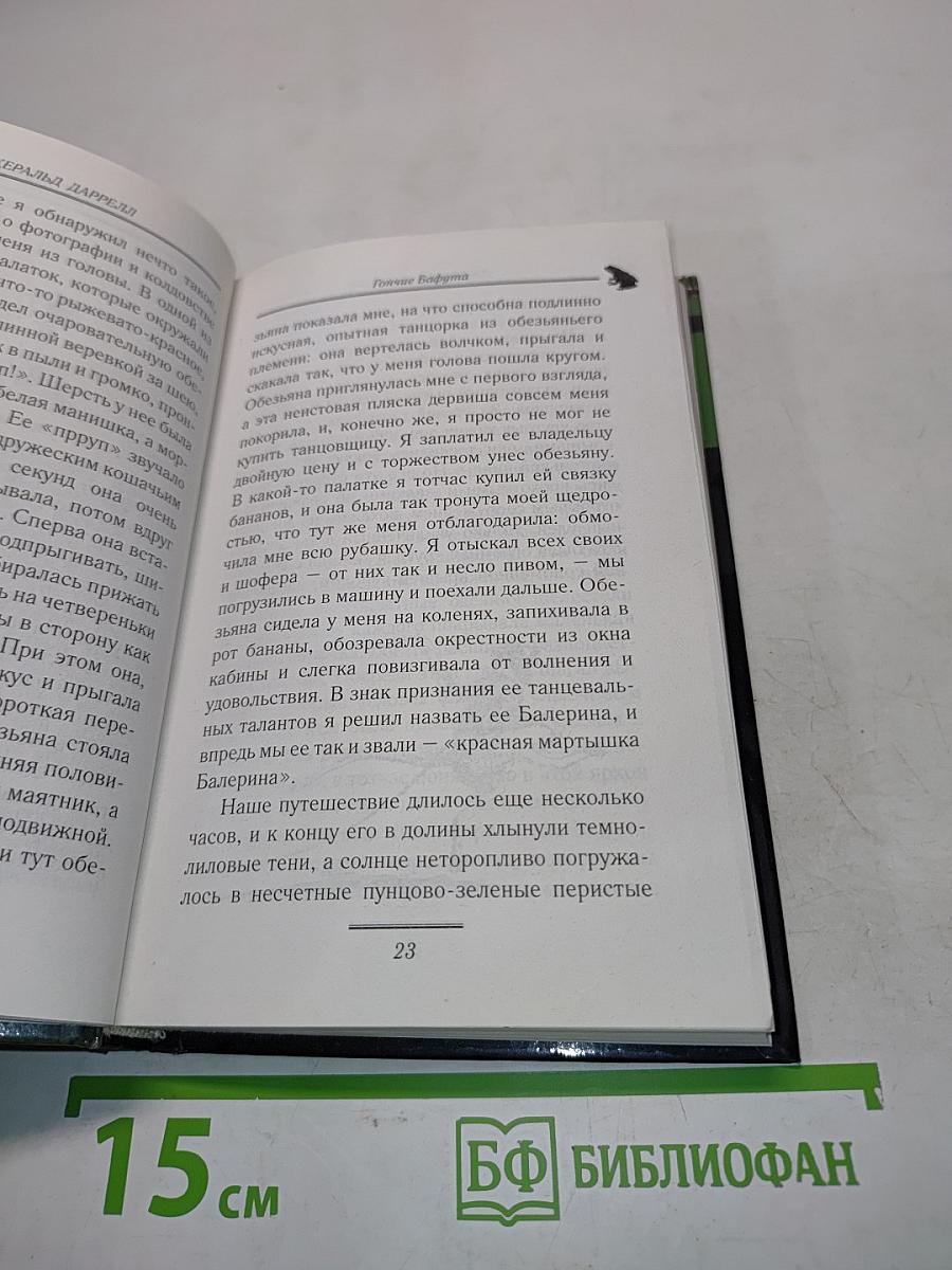 Гончие Бафута