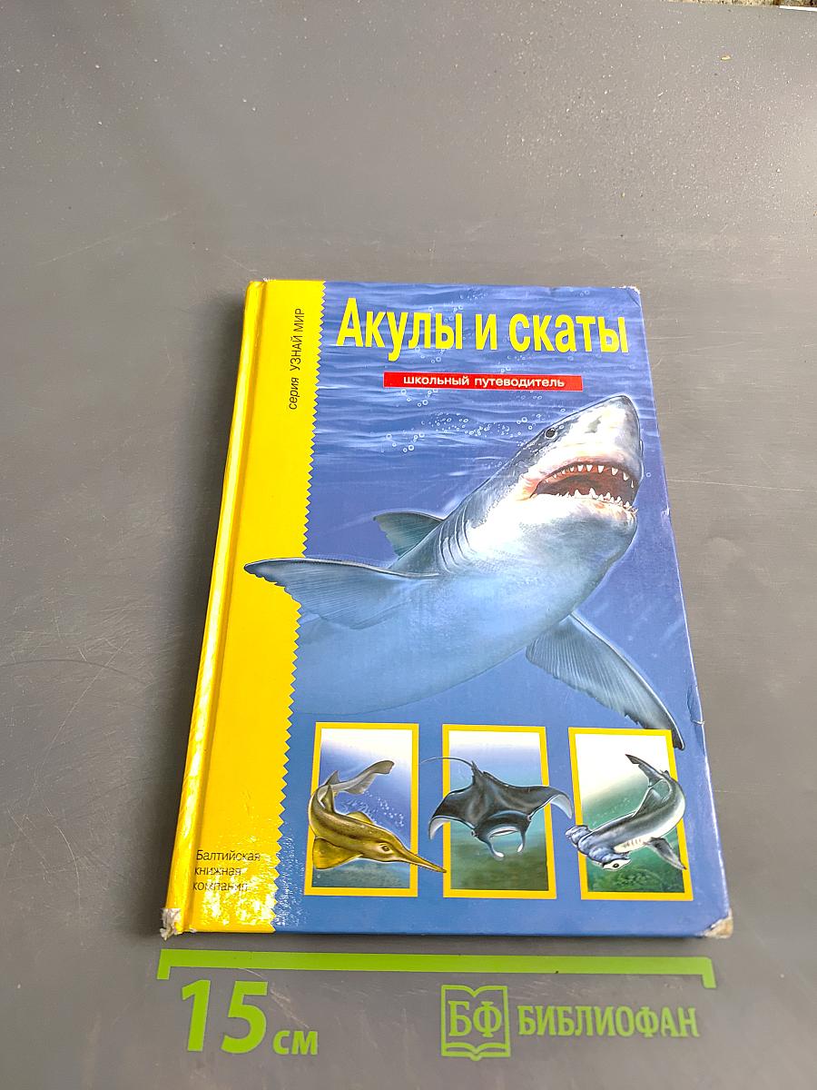 Акулы и скаты