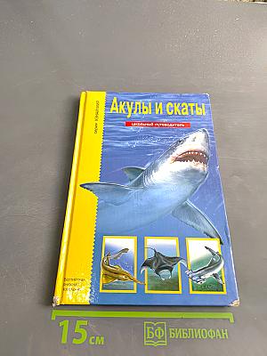 Акулы и скаты