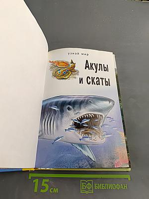 Акулы и скаты