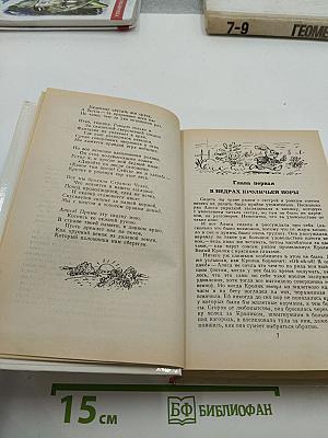 Приключения Алисы в Стране Чудес. Зазеркалье. Сказки. Маугли