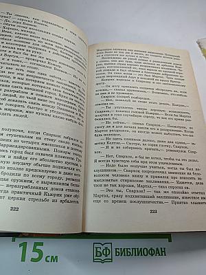 Сапфирная роза
