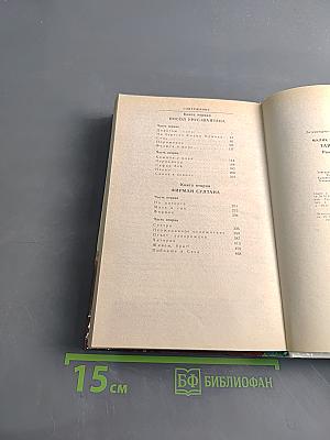 Тайный посол. Книга первая. Посол Урус-Шайтана