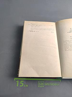 Тайный посол. Книга первая. Посол Урус-Шайтана